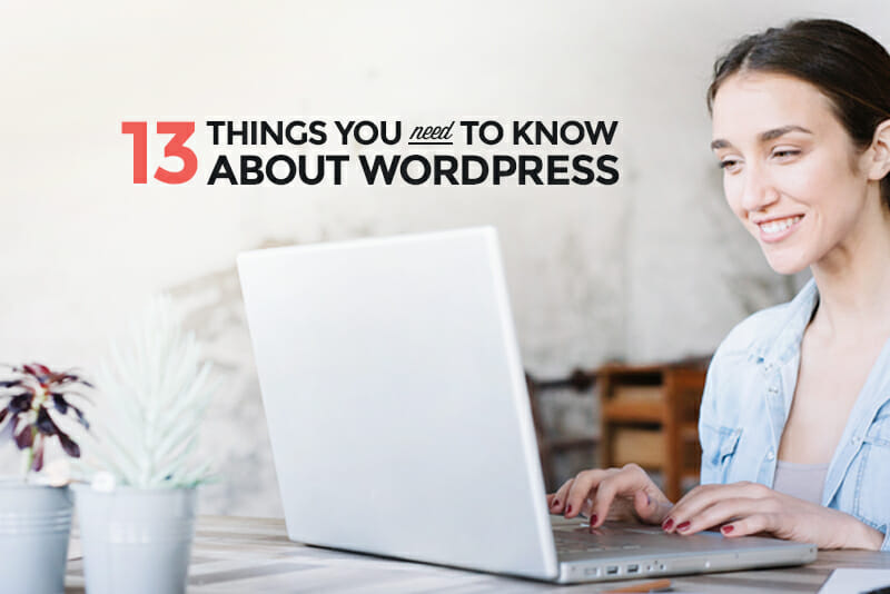 13 things you need to know about WordPress