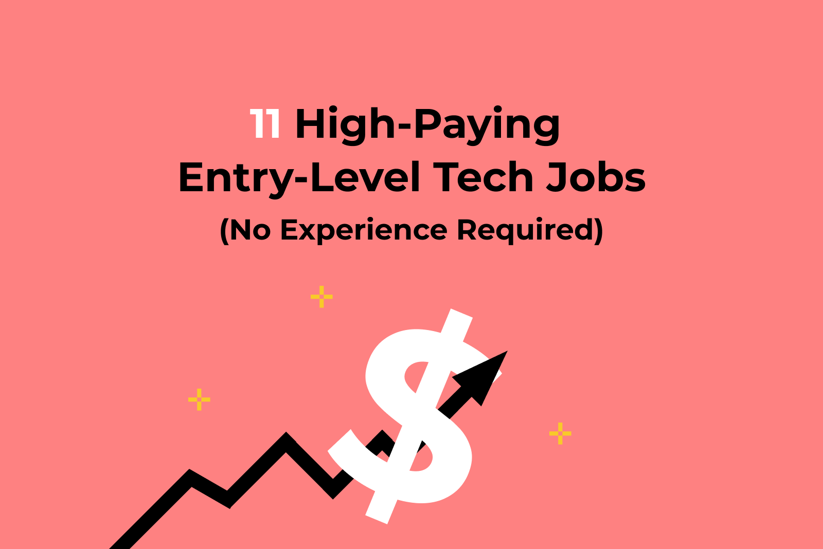 11 High Paying Entry Level Tech Jobs (No Experience Required)