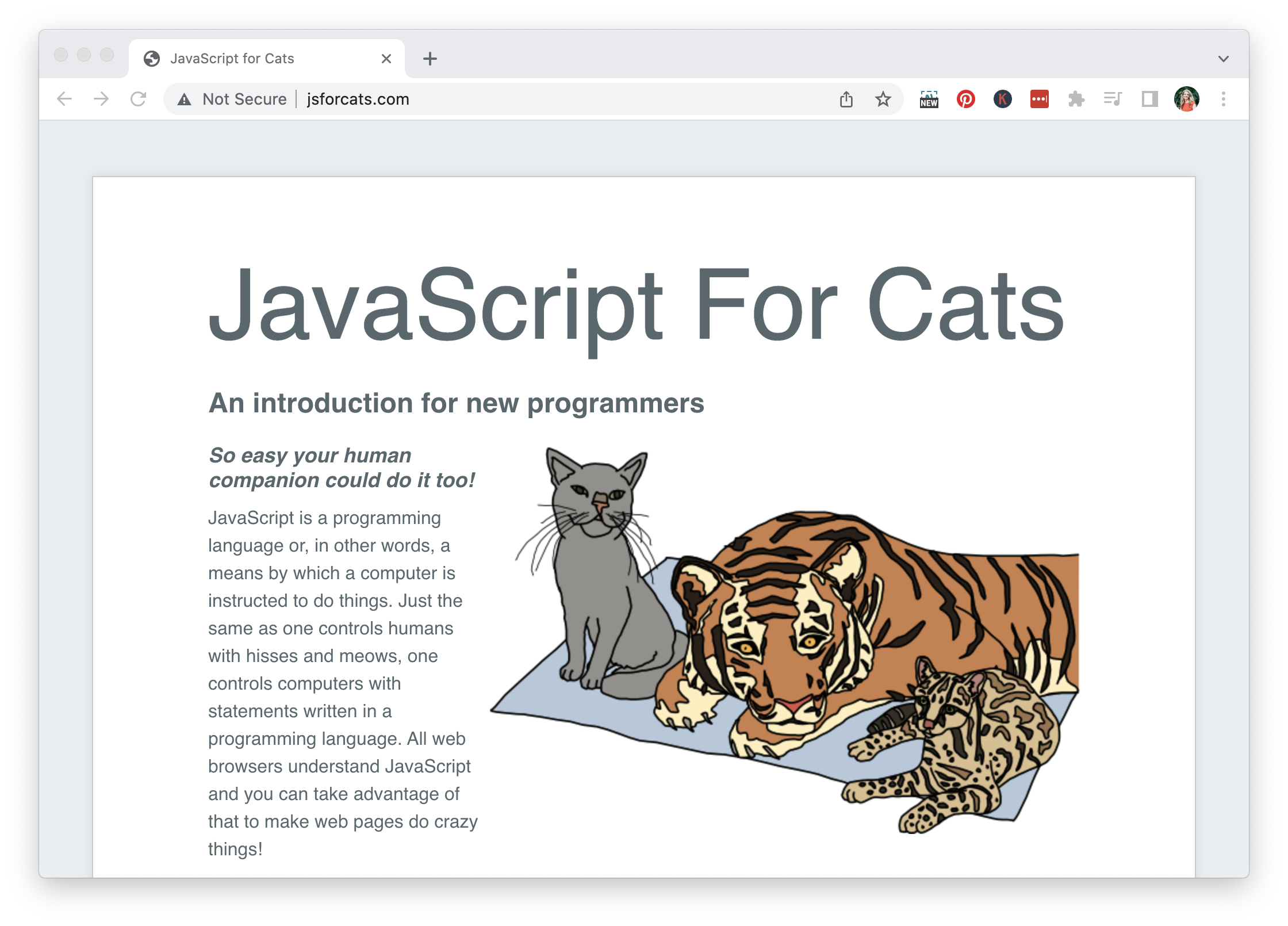 JavaScript For Cats 